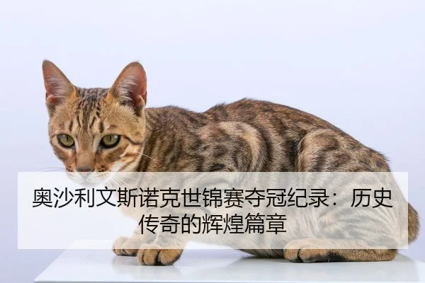 奥沙利文斯诺克世锦赛夺冠纪录：历史传奇的辉煌篇章