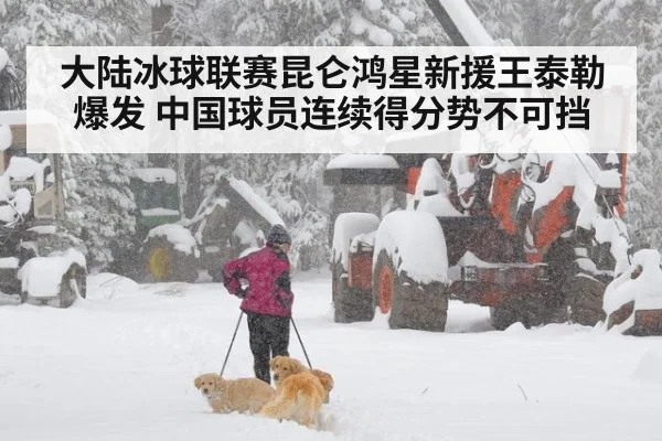 大陆冰球联赛昆仑鸿星新援王泰勒爆发 中国球员连续得分势不可挡